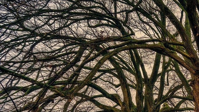 What do we do when the land is no longer arable and all vegetation and animal species have become extinct?